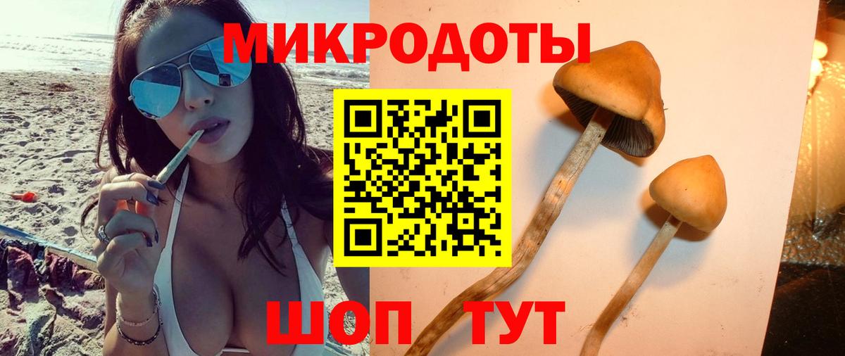 Галлюциногенные грибы Cubensis Белгород