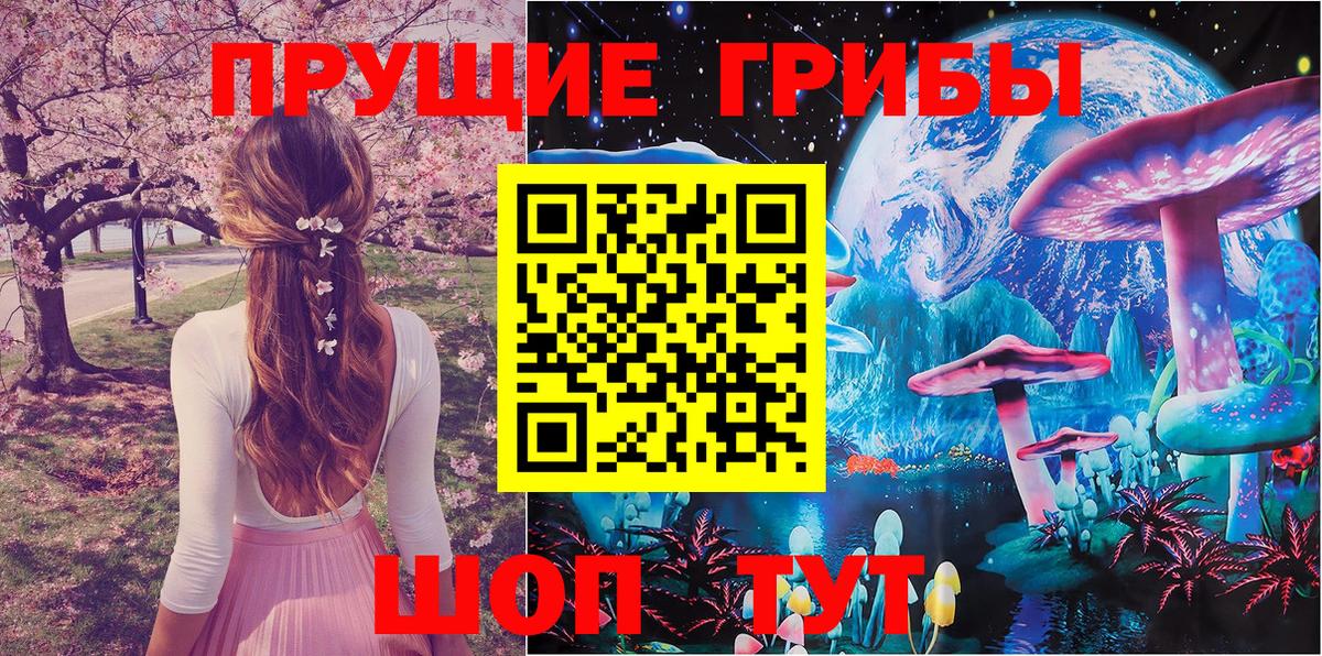 Псилоцибиновые грибы Psilocybine cubensis  Галлюциногенные грибы GOLDEN TEACHER  Белгород  Вход с VPN 